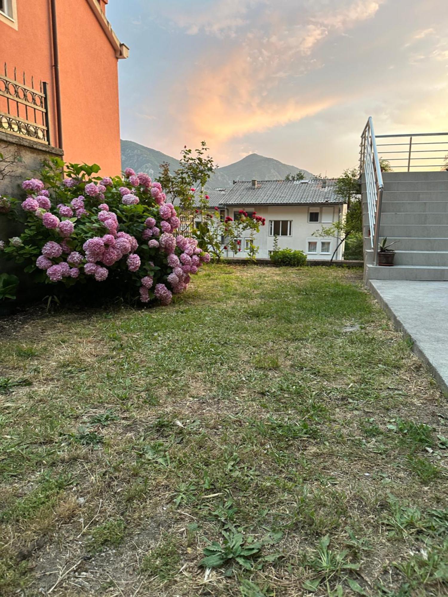 Sunny Apartment Kotor Kültér fotó